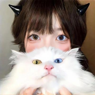 巡回检察组